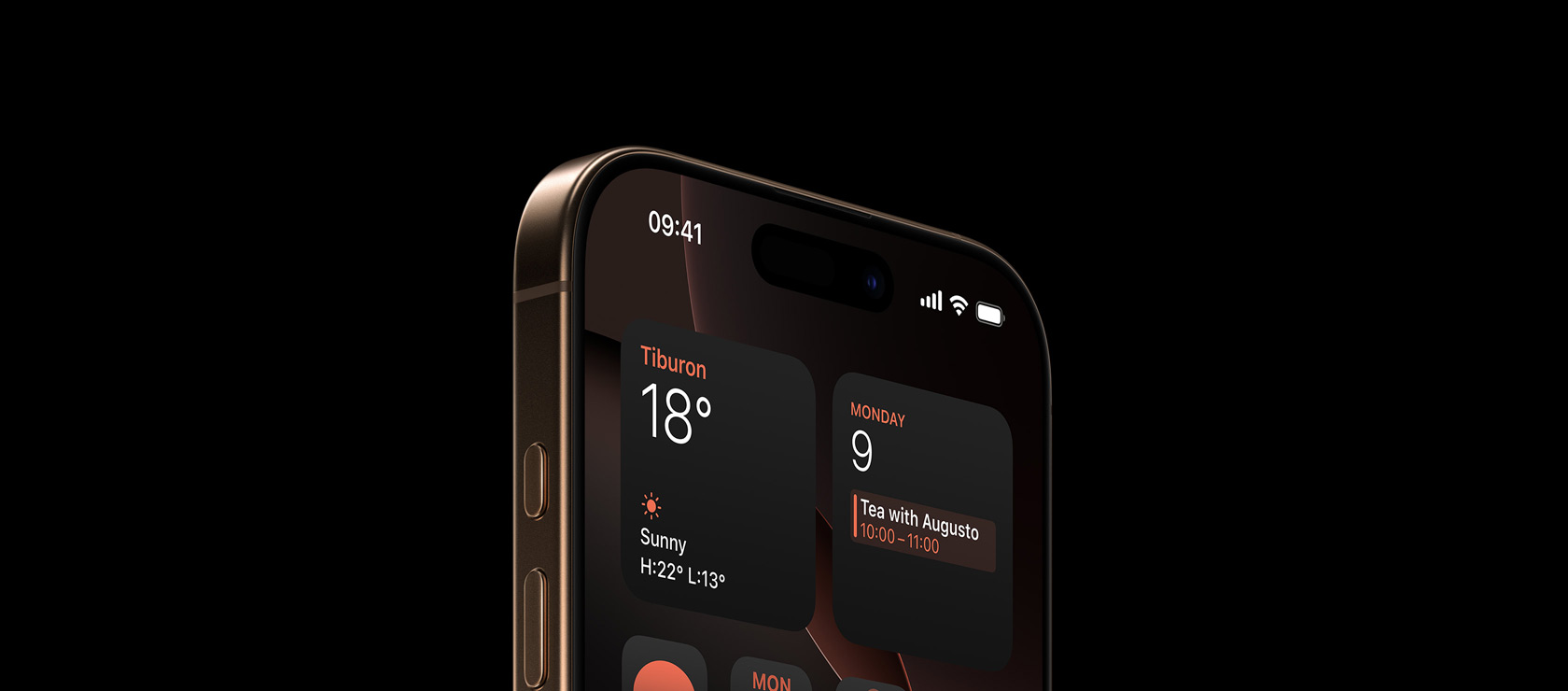 iPhone 16 Pro